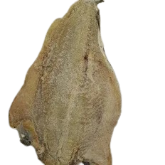 Atlantic Pollock Wet Salted Medium 50lb