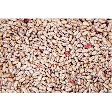 Pinto Bean 50 Lbs