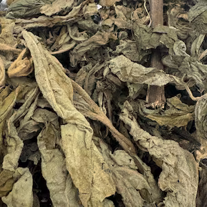 TEA Leaves (FEY SED)
