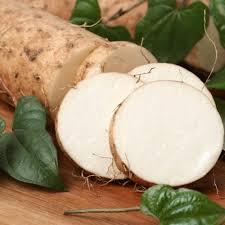 YAM White Panama 34Lbs